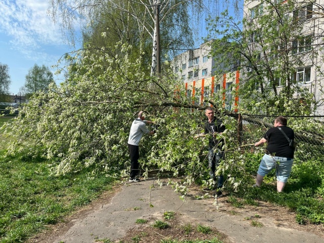 Волонтёры благотворительного фонда «Твой Шанс на жизнь» в Йошкар-Оле безвозмездно помогли школе с уборкой территории